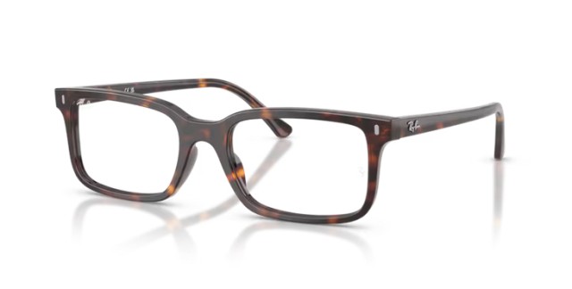Ray-Ban RX5445 2012 54