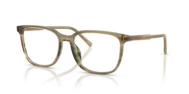 Dolce & Gabbana DG3445 3480 55