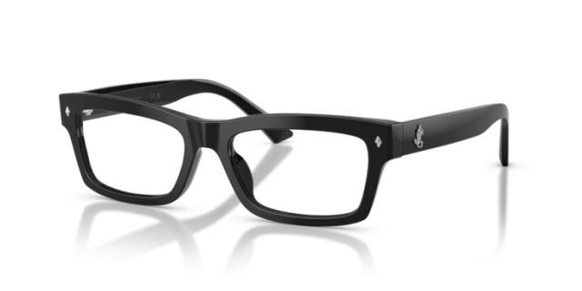 Jimmy Choo JC3057U 5000 53