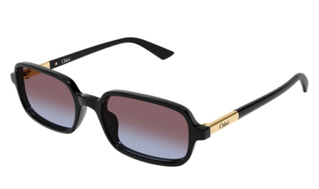 Chloé 0363S 001 53