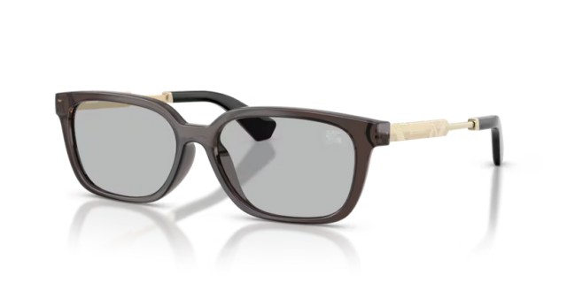 Burberry BE4481D 411287 54
