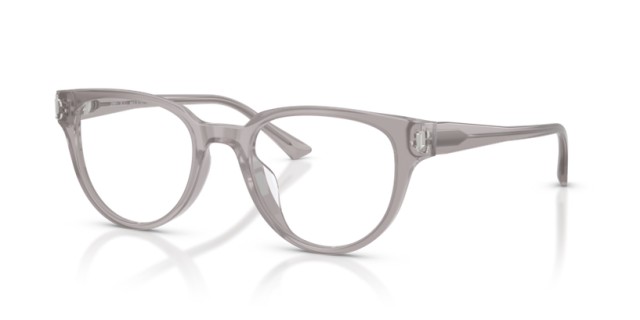 Jimmy Choo JC3051D 5096 51
