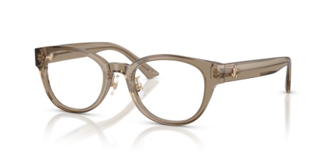 Jimmy Choo JC3058D 5051 50