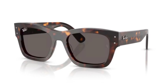 Ray-Ban Joseph RB7683S 902/B1 55