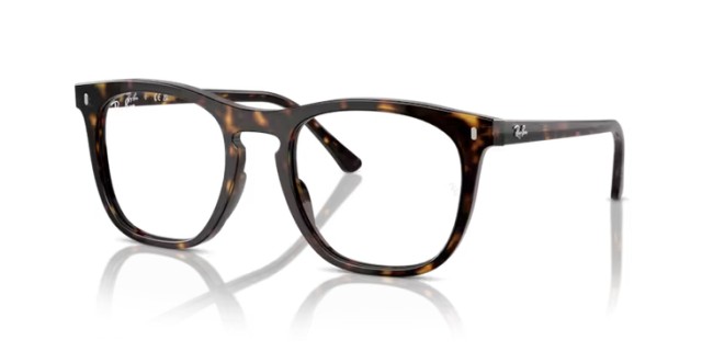 Ray-Ban RX2210V 2012 51