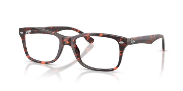 Ray-Ban RX5228 8423 50