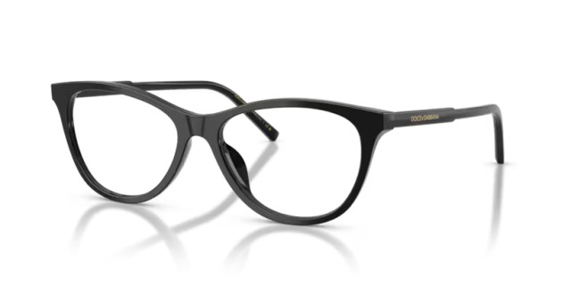 Dolce & Gabbana DG3443 501 55