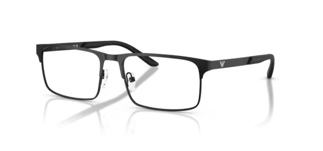 Emporio Armani EA1170 3001 55