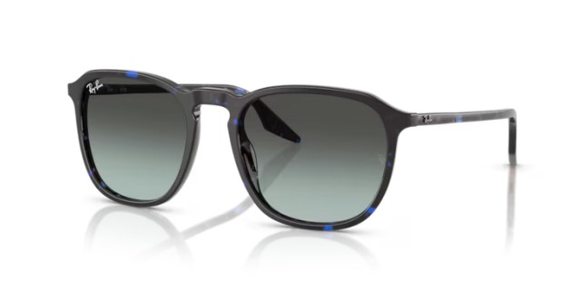 Ray-Ban RB2203 1430GK 55