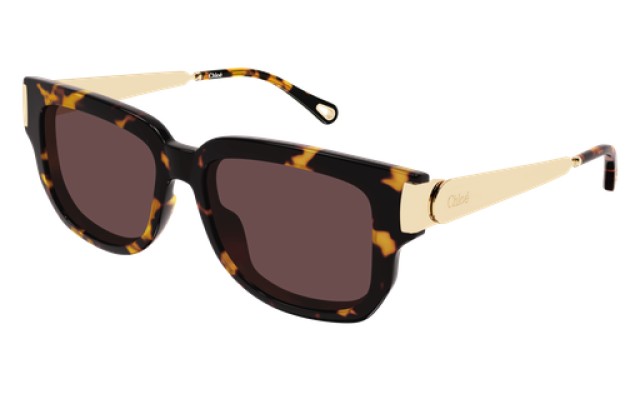 Chloé 0351S 003 54