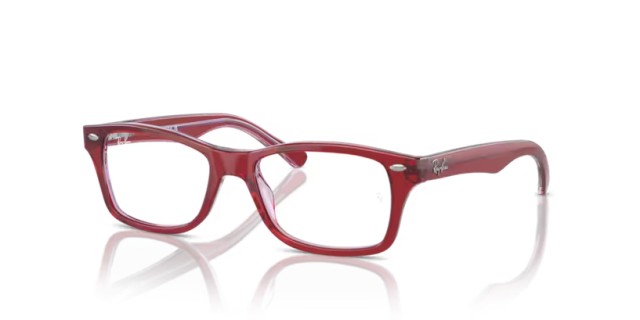 Ray-Ban Junior RY1531 3960 48