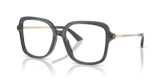 Jimmy Choo JC3061U 5106 55