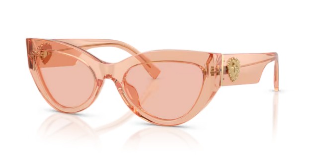 Dolce & Gabbana DG4536 322684 55