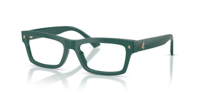 Jimmy Choo JC3057U 5101 53