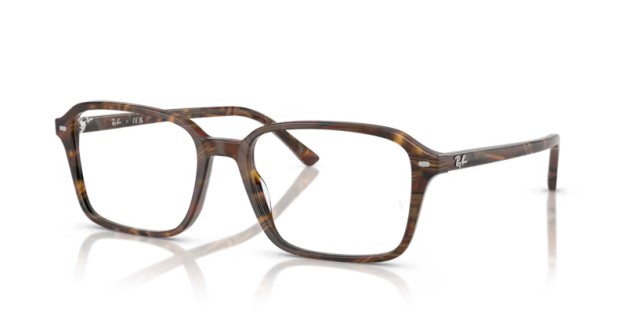 Ray-Ban Raimond RX5431 8395 54