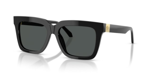 Versace VE4498 GB1/87 55