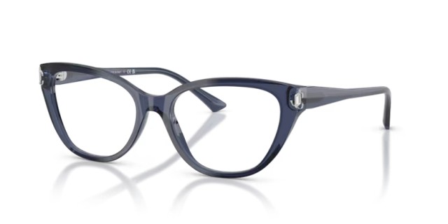 Jimmy Choo JC3011 5035 52