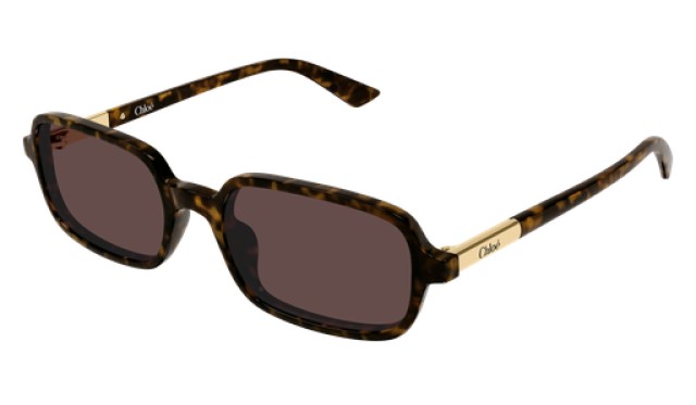 Chloé 0363S 002 53