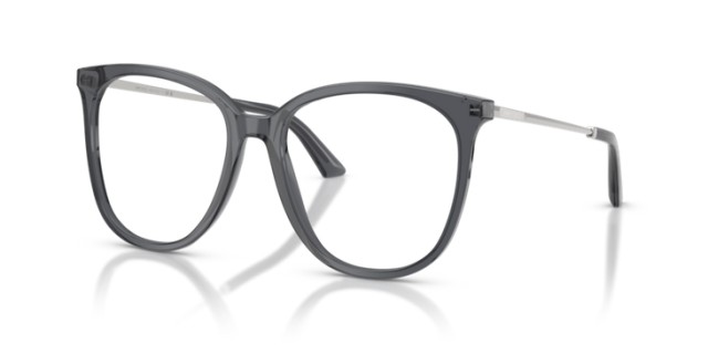 Jimmy Choo JC3060 5106 55