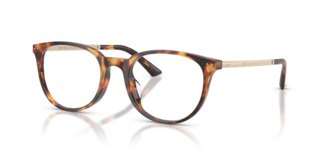 Jimmy Choo JC3055D 5110 52