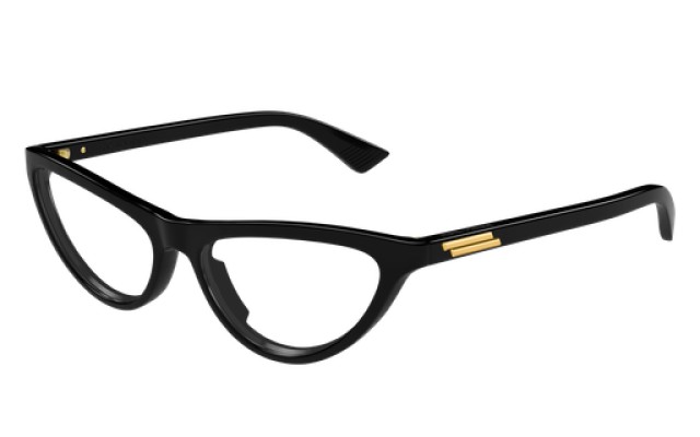 Bottega Veneta BV1416O 001 55
