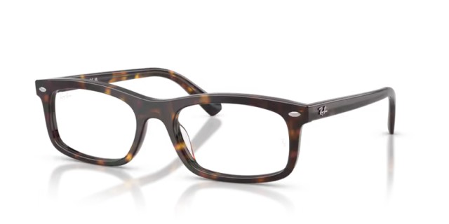 Ray-Ban RX5450 2012 56