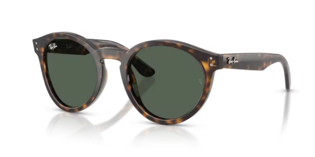 Ray-Ban RBR0505S 6790VR 52