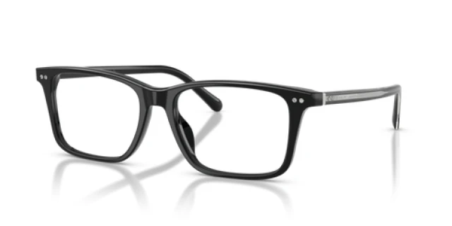 Ralph Lauren RL6264U 5001 56