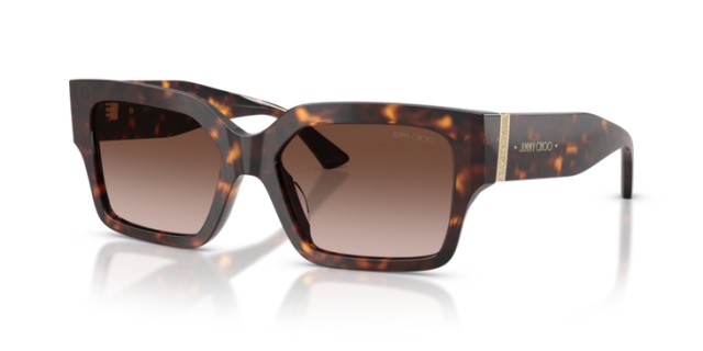 Jimmy Choo JC5058JU 500213 55