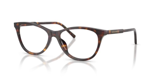 Dolce & Gabbana DG3443 502 53