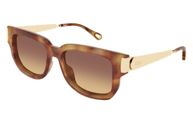 Chloé 0351S 002 54