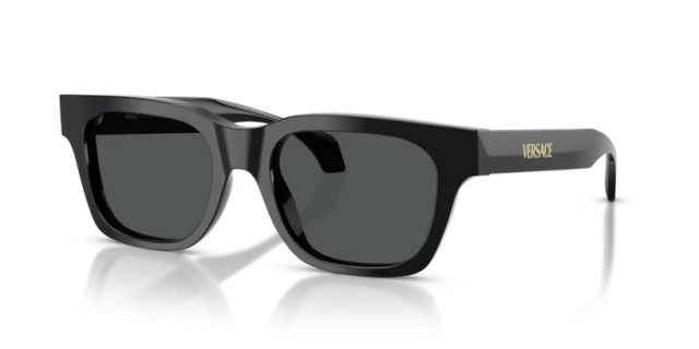 Versace VE4486 GB1/87 52