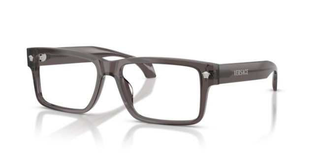 Versace VE3391U 5389 54