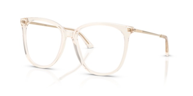 Jimmy Choo JC3060 5107 55