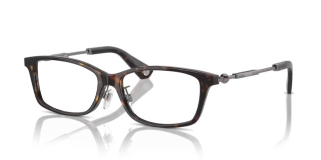 Burberry BE2414D 3002 55