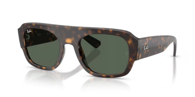 Ray-Ban RB2218 679071 55