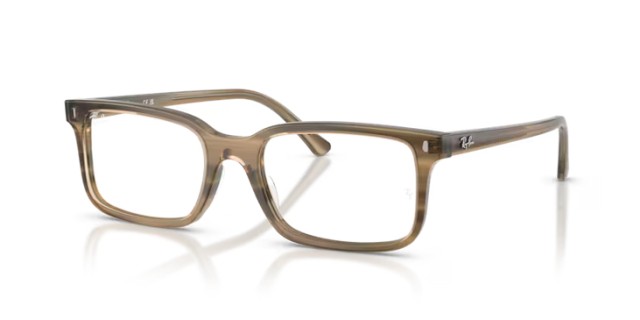 Ray-Ban RX5445 8454 52