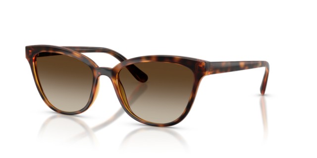 Vogue VO5496SM W65613 54