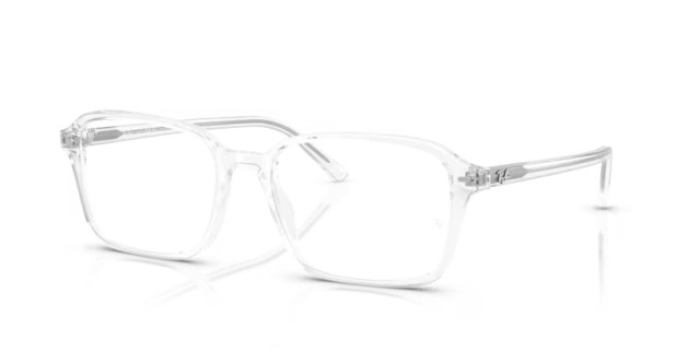 Ray-Ban Raimond RX5431 2001 54