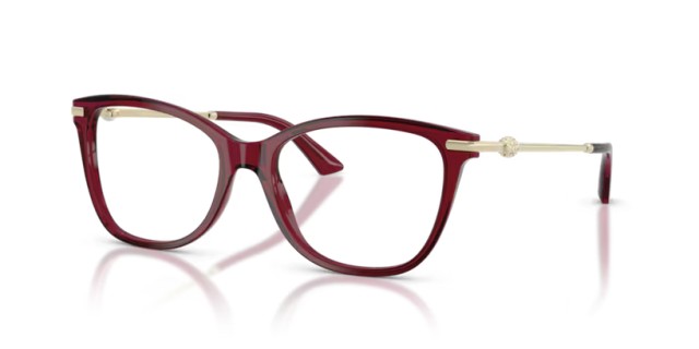 Jimmy Choo JC3007HB 5062 52