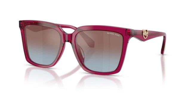 Michael Kors Menaggio MK2256U 4032H7 55