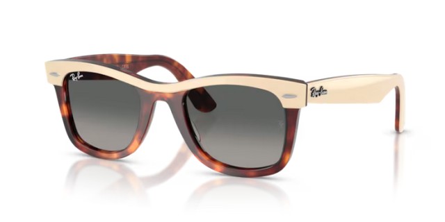 Ray-Ban Wayfarer RB2240 144371 50